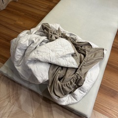 洗える極厚40mmラグの画像