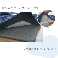 洗える極厚40mmラグの画像