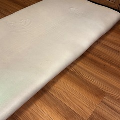 洗える極厚40mmラグの画像