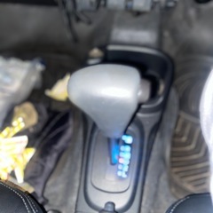 珍しいブルーのエッセ の画像