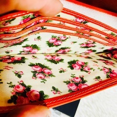 未使用✨牛革✨ANNA SUI✨アナスイ✨財布✨レザーウォレット✨ゴールド金具✨の画像