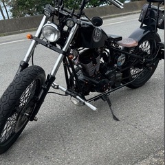 ヘイスト250カスタム
の画像