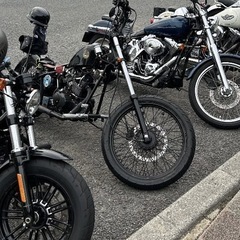 ヘイスト250カスタム
の画像