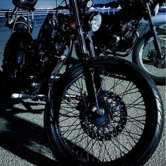 ヘイスト250カスタム
の画像