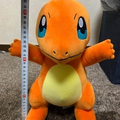 ヒトカゲの画像