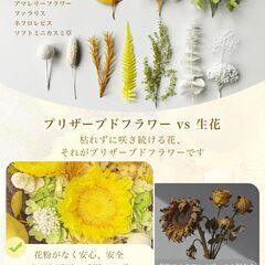 新品　水やり不要な生花　プリザーブドフラワー ブーケ 3輪 ひまわり の画像