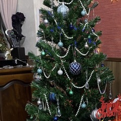 クリスマスツリーの画像