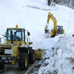 冬の期間限定‼️大募集‼️の画像