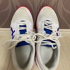 【22.5㎝】asicsバレーボールシューズの画像