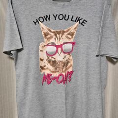 レディース半袖シャツ　5枚　サイズ→S～LL 　差し上げます！の画像