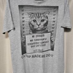 レディース半袖シャツ　5枚　サイズ→S～LL 　差し上げます！の画像