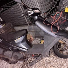 アドレスv100の画像