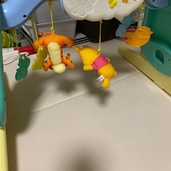 プーメリーの画像