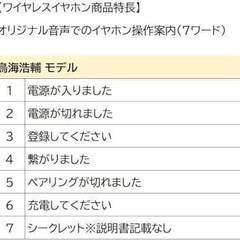 TRUE WIRELESS STEREO EARPHONES 鳥海浩輔 イヤホンの画像