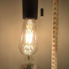 【ジャンク要素あり、本文必読】ビンテージ風シーリングライト(+電球)の画像