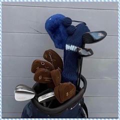 ミズノの男性用セット(Rフレックス) ウッドはドライバー2本にスプーン2本 アイアンは高性能のカーボンアイアン4-9、pw SwはクリーブランドのTourAction 60度のウェッジ パターはミズノの名器ツアースタイルのY304 Forged(prospec)の画像