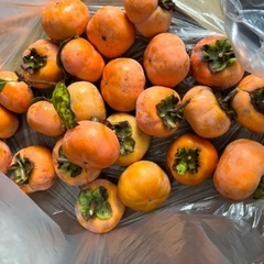 甘柿（無農薬）の画像