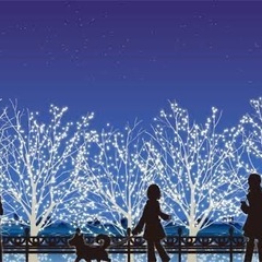 【20代中心✨】イルミネーションや季節イベント行ける仲間募…