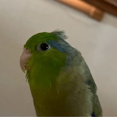 ☕動物に癒されたい20〜30代の方🐾ゆるく繋がれる仲間募集🌿