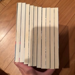 【美品】プラスティック姉さん 1-10巻 の画像