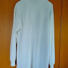 【古着】ENERGY FACTORY　アメリカンな長袖ポロシャツ　白　Ｌ　中古　送料が高いので取りにこれる方限定の画像