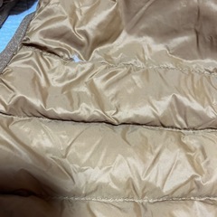100ダウンベストの画像