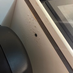 2日間の期間限定！食器棚の画像