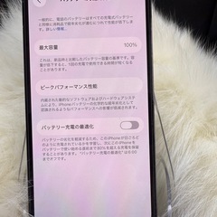 iphone 13PRO シエラブルー256GB 国内版 SIMフリー「箱付き」 バッテリー大容量100％ 美品の画像