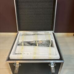 【業務用EMS機】Flexi Bodycare／10ch独立出力:ピカピカ:立体波形・ゲル不要パッド仕様【通電確認済・美品】の画像