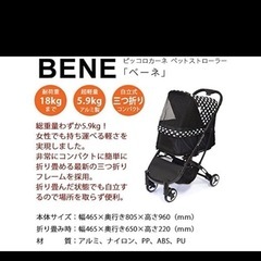 ピッコロカーネ　BENE（ベーネ）ブラック　ホワイト　ドットの画像