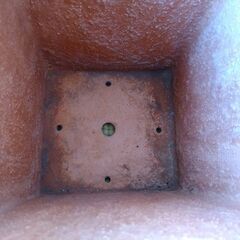 鉢／鉢カバー？の画像