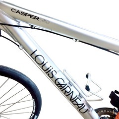 ルイガノ★サビ/パンクあり現状販売！クロスバイク マウンテンバイクの画像