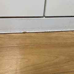 整理ダンスの画像