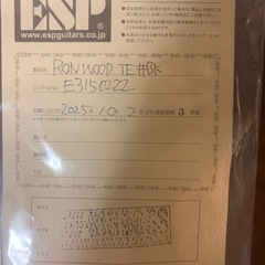 新品同様！　2025年製 ESP RON WOOD SIGNATURE Telecasterの画像