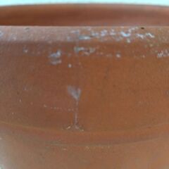 テラコッタ／素焼き鉢／☆おまけ付きの画像