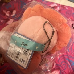 星のカービィ♪獅子座カービィのぬいぐるみ&カービィクリアコスメポーチ（どちらも未使用美品）の画像