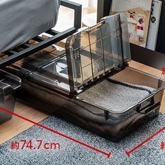 【カインズ】キャリコオレア(深型×4/浅型×4)の画像