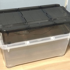 【カインズ】キャリコオレア(深型×4/浅型×4)の画像