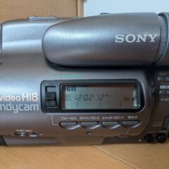 SONY ビデオカメラレコーダー CCD-TR900の画像