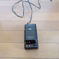SONY ビデオカメラレコーダー CCD-TR900の画像