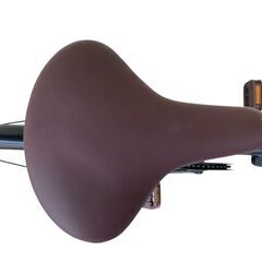 【問い合わせ多数】★丸石サイクル 折りたたみ自転車　20インチ Roxyの画像