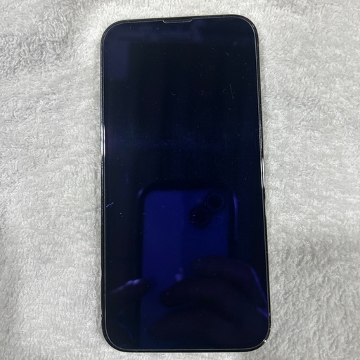 iPhone13Pro 部品取り