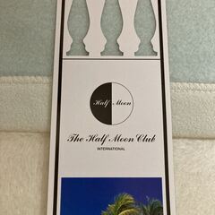 half moon club シルク 混綿 毛布 ツーフェイス 新品 未使用 長期保管品 箱痛み、書き込み等有りの画像