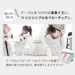 【決定】NOVUS ノウス ベビーハイチェア グレーの画像