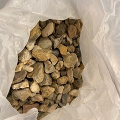 セットです。パキラ、傘、砂利の画像