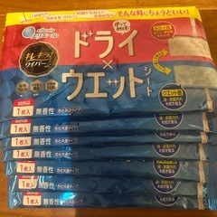 未使用未開封　お掃除用品　試供品の画像