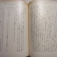 『ナイン・ストーリーズ』J.D.サリンジャー　新潮文庫の画像