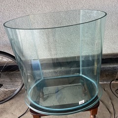 熱帯魚　円柱ガラス水槽の画像