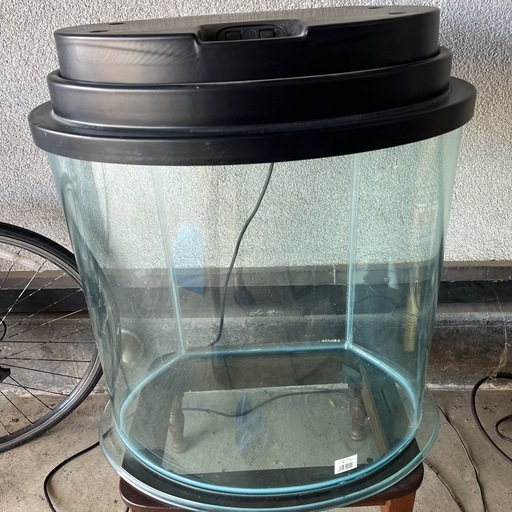 熱帯魚　円柱ガラス水槽