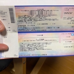 うさまるてん展の画像